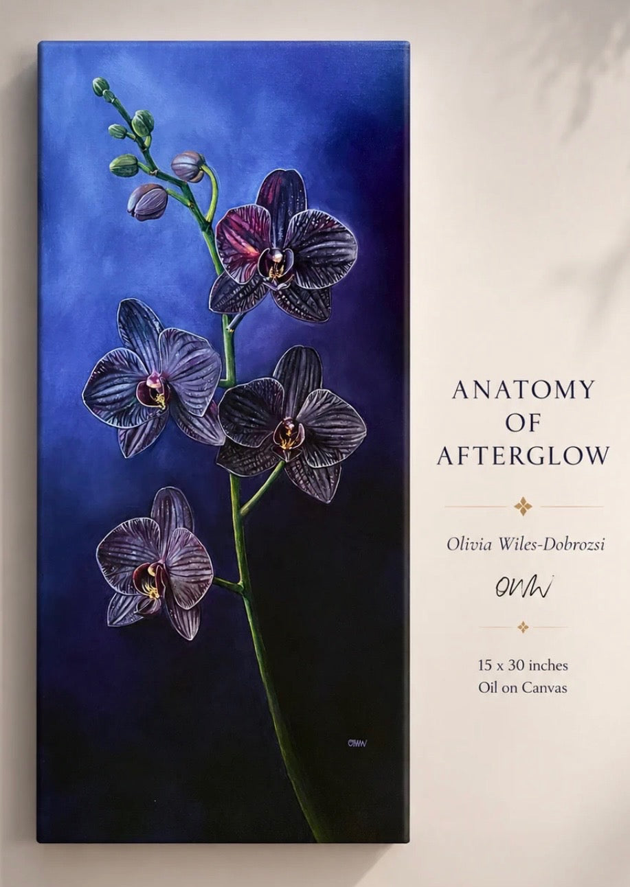 Anatomy of Afterglow