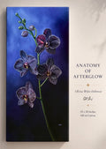 Anatomy of Afterglow