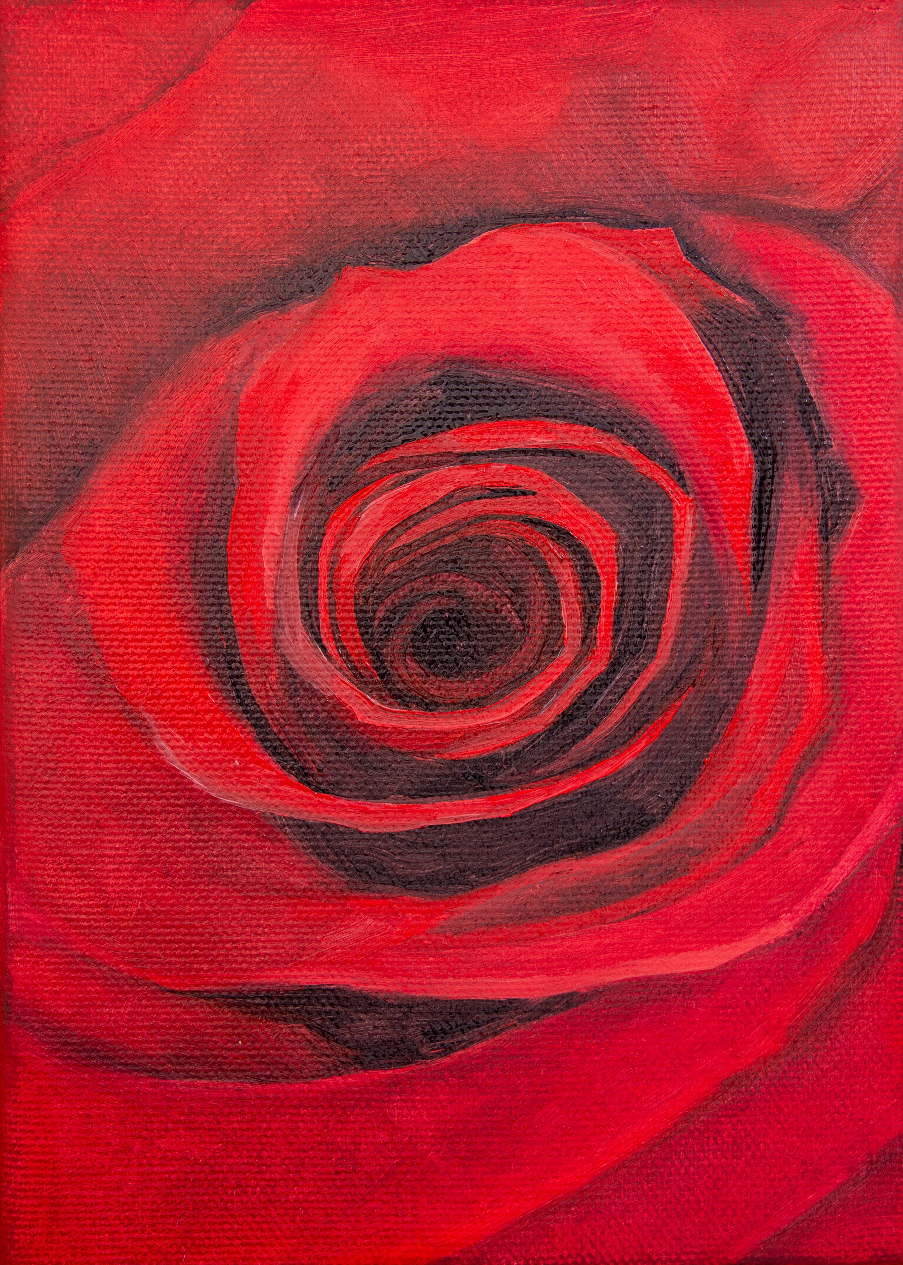 Close-up of a red rose with a textured background